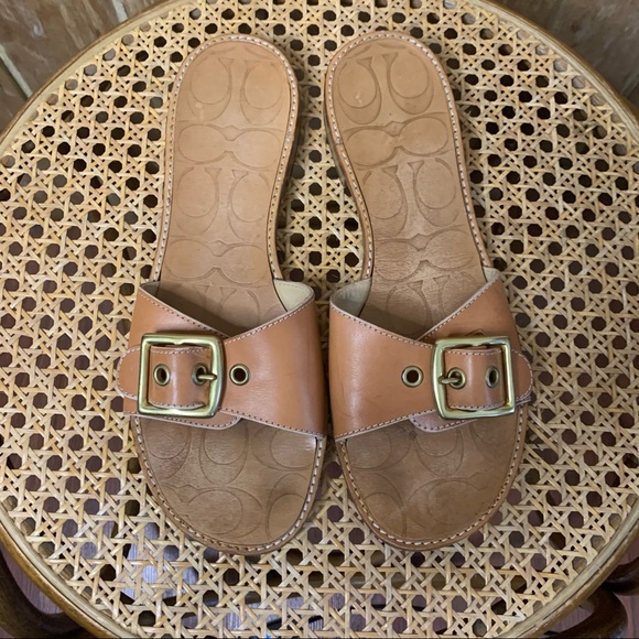 Coach single strap with buckle sandals - Picture 4 of 13